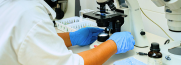 ABP_IMAGEN 800X289 (Investigación y diagnóstico) ABP_IMAGEN 800X289 (Investigación y diagnóstico)