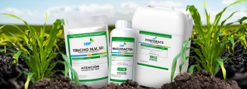 ABP_IMAGEN 800X289 (Programas) ABP_IMAGEN 800X289 (Programas)